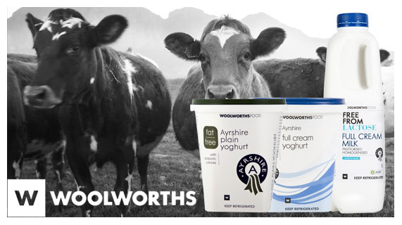 Woolworth Ayrshire Milk