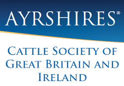 Formed in 1877, the Ayrshire Cattle Society of Great Britain and Ireland is a forward thinking, highly motivated breed society dedicated to keeping the Ayrshire at the forefront of modern dairying.