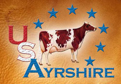 Learn more about the American Ayrshire Breeders' Association. 